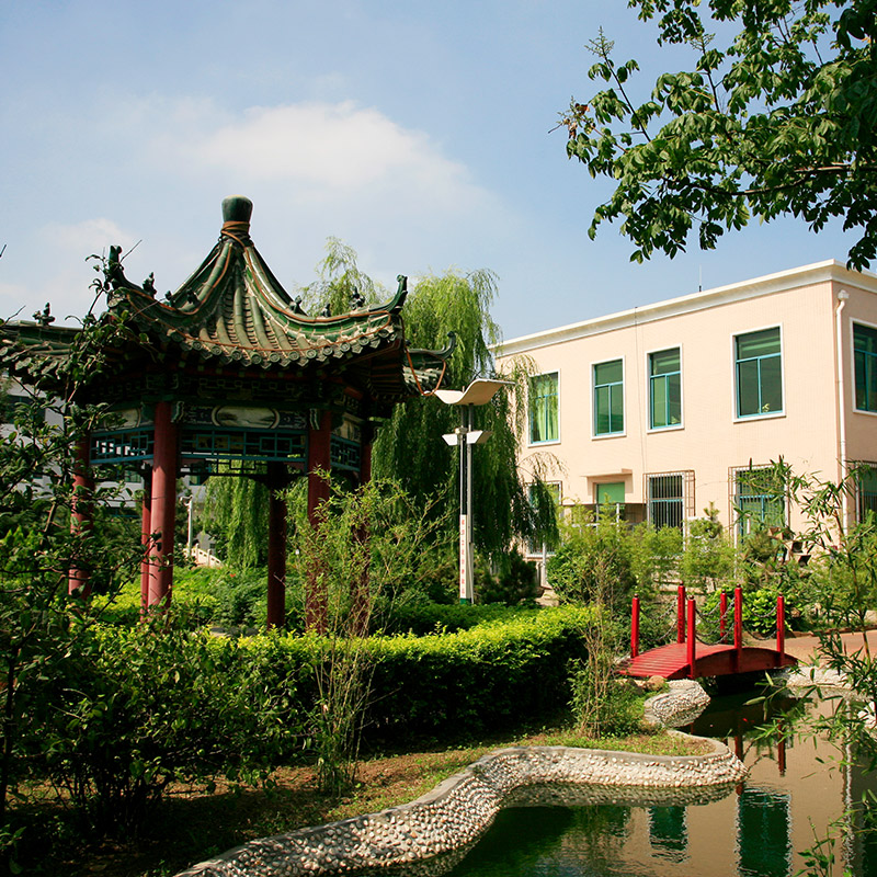 祝福海盟生日快樂！